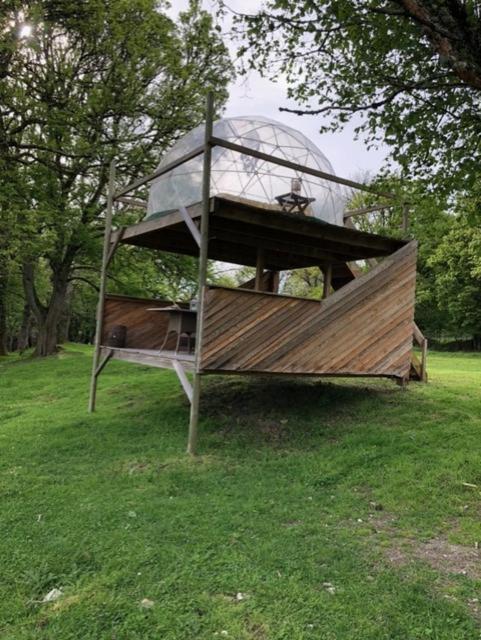 Bulle Elevage Girbal * La Chapelotte