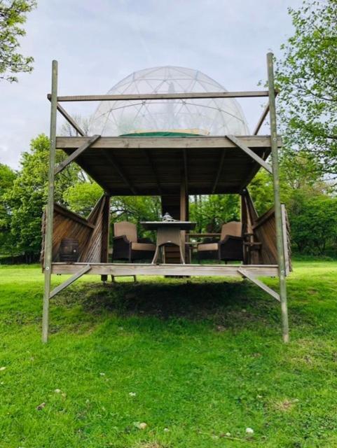 Bulle Elevage Girbal * La Chapelotte